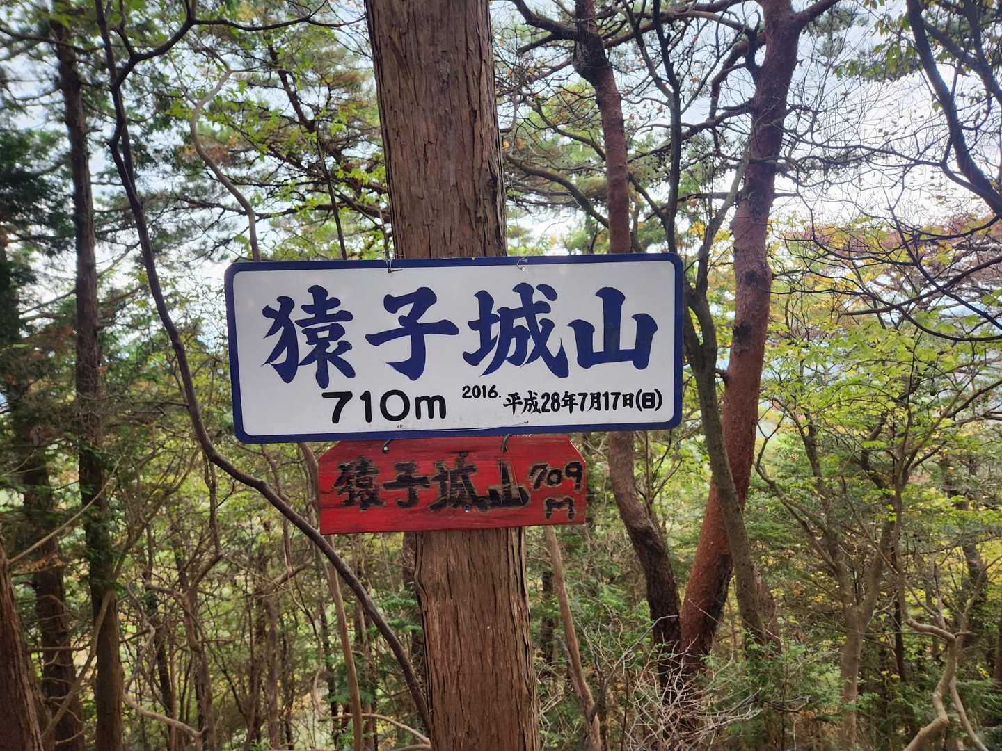 峠からここまで急登💦
ここ反時計回りだと下りは嫌かも😫