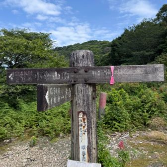 ⬅️に向かいます