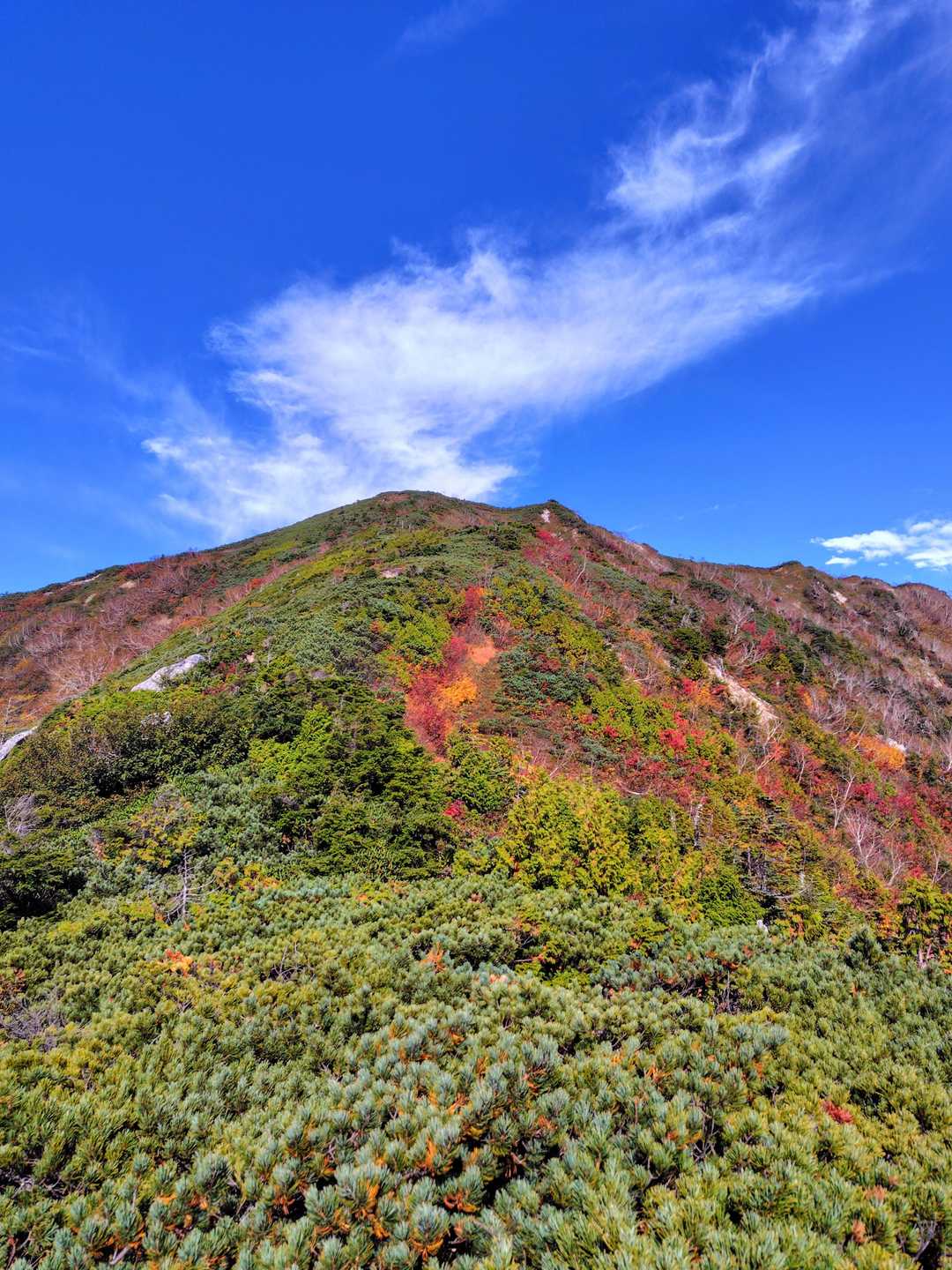紅葉も‼️
いい感じに色付いています🍁🥰
