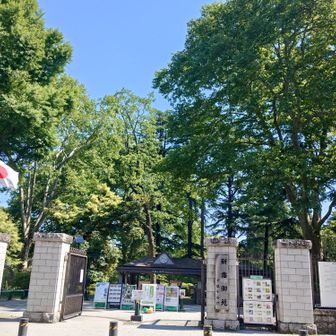 新宿御苑　千駄ヶ谷門