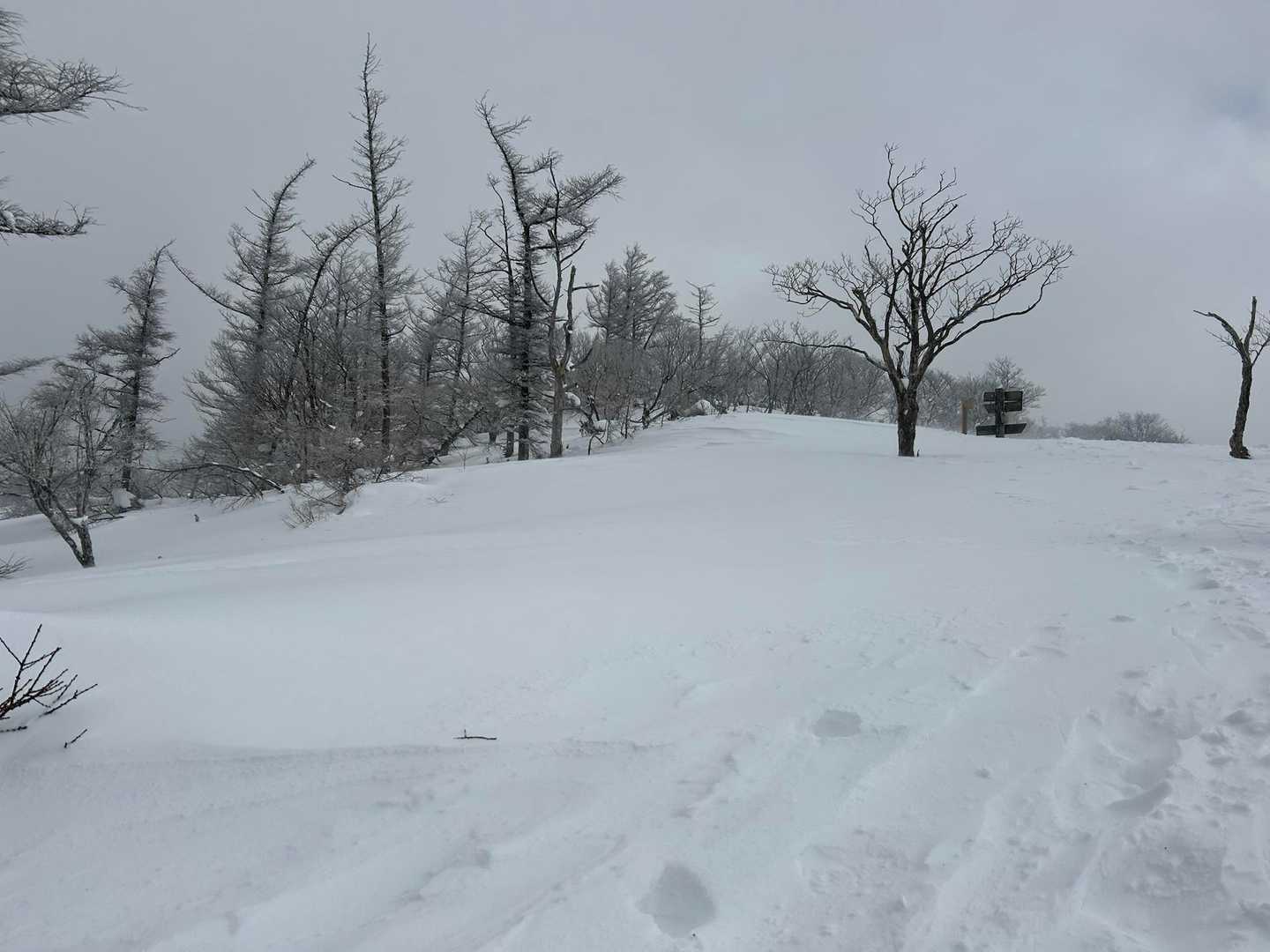 アラキ峠-権現山 往復コースの写真