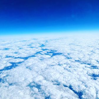 チームくまちん