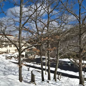 やっぱ雪山はいいね❄