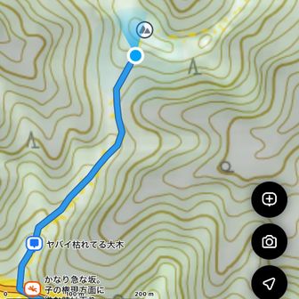 頑張ってグレーピークに向かってます。