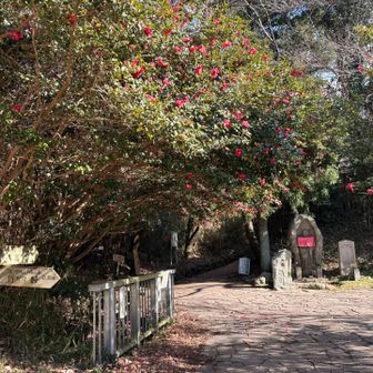 左から行きました。