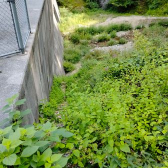 階段を上ってきた　足が吊った　最近良く吊る