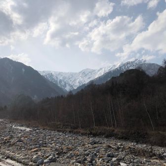冷沢の橋にて。暖かい一日。このあとクシャミ連発、目の痒みでたいへんでした。