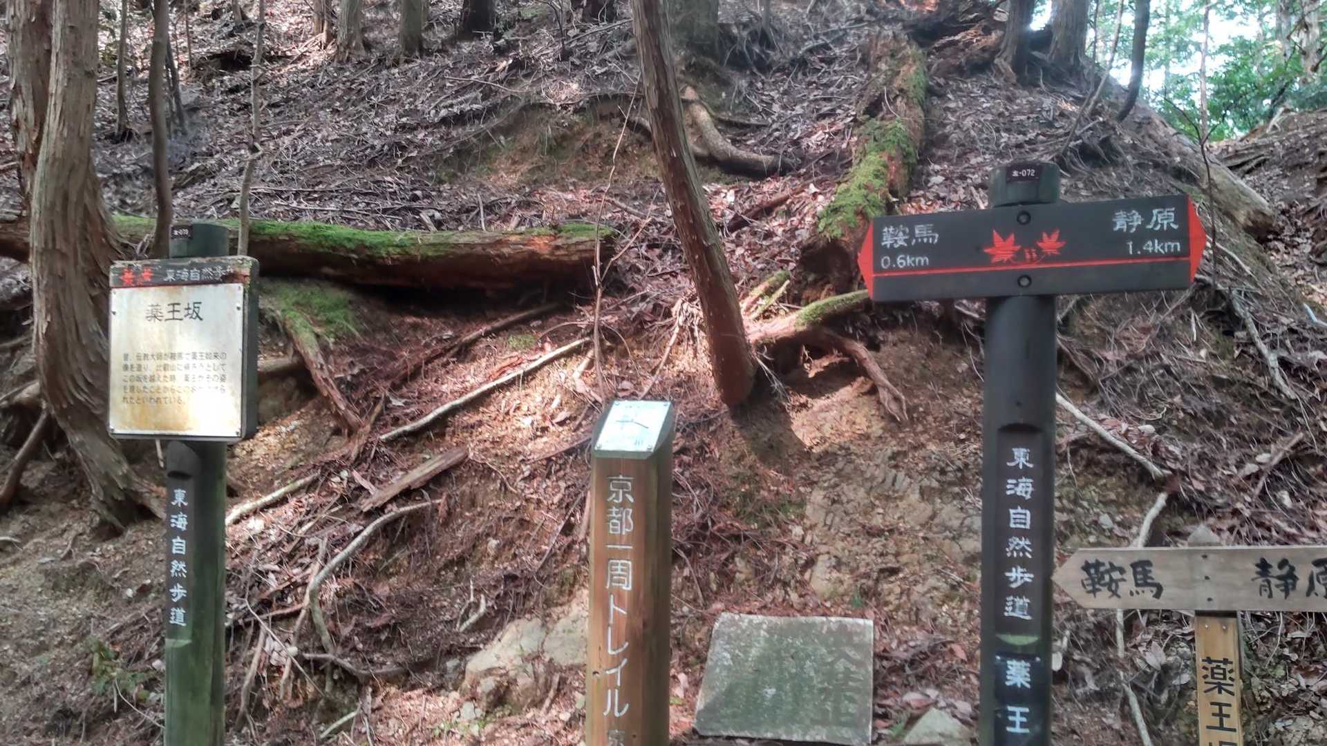 薬王坂　峠です
正面から下りて来ました　左方向、鞍馬へ下りて叡電で帰ります
