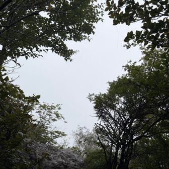 富士山展望台に到着。やはり何も見えません。