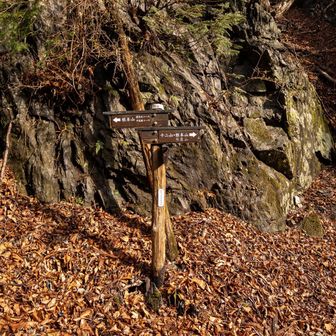 ここが分岐で急登の始まり。