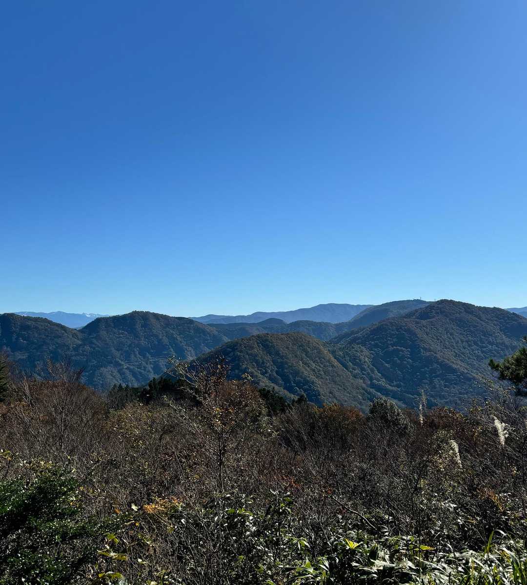 八乙女山五合目登山口-八乙女山-栃原峠-大寺山 往復コースの写真