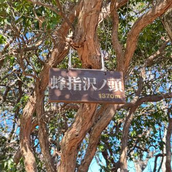 蜂指沢ノ頭（はちさすざわのかしら、1,370m）ここより都民の森範囲内。