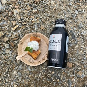 手作りチーズケーキ、美味さが沁み渡ります
