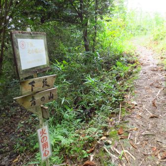 下坂、北小島分岐
