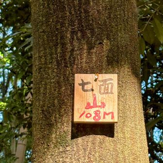 迷って辿り着いた☺︎