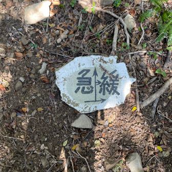 そりゃ急を選ぶでしょう。トレーニング。