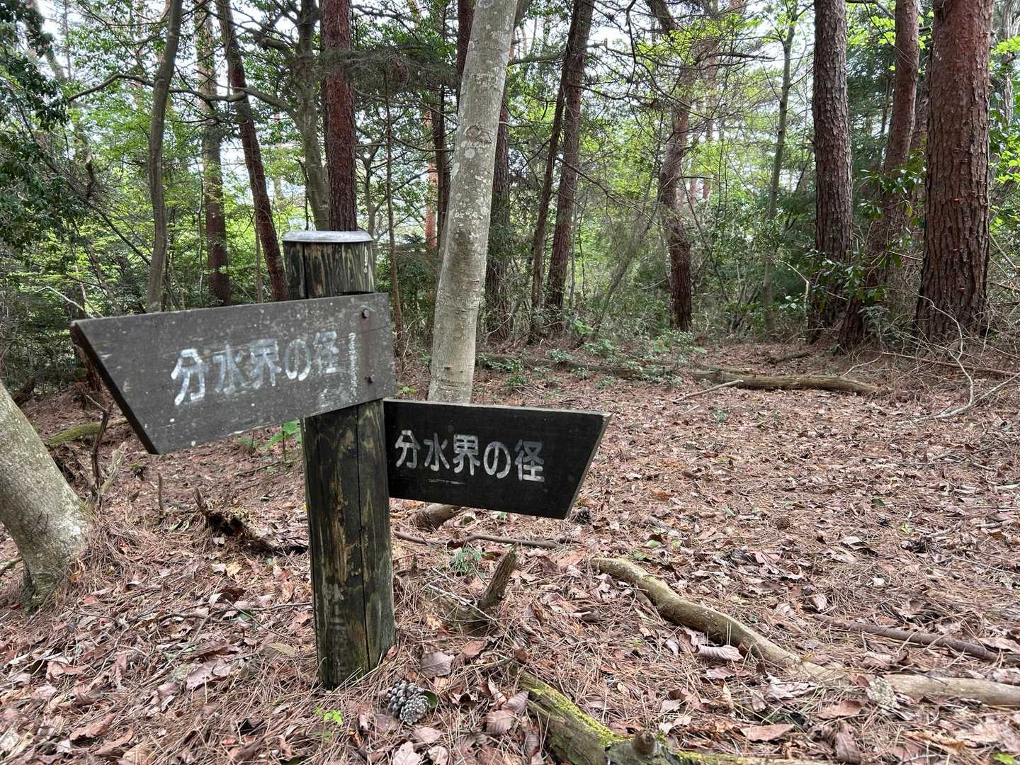 ちょうどこの辺りが日本海側と太平洋側へ水が分かれる「中央分水界」らしいです🤔
