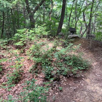 西山富士。
山頂のくぼみを富士の火口に例えたのだろう。