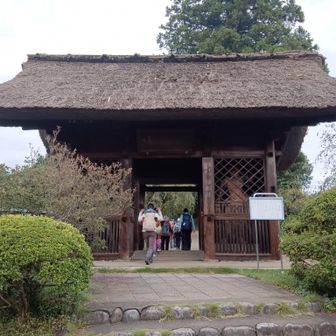 塩船観音寺山門