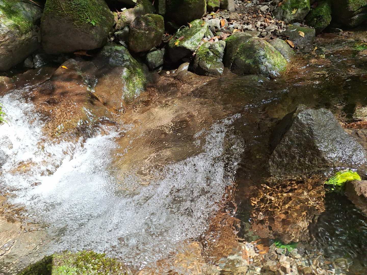 何度も渡涉を繰返しながら沢沿いを下山して行きましょう