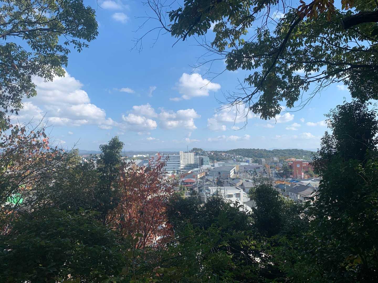 久しぶりに週末天気が良い気がします😄