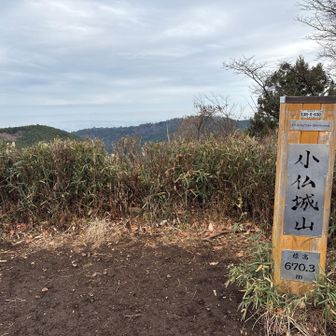 夏はかき氷🍧有名ですが、今日はなめこ汁😋