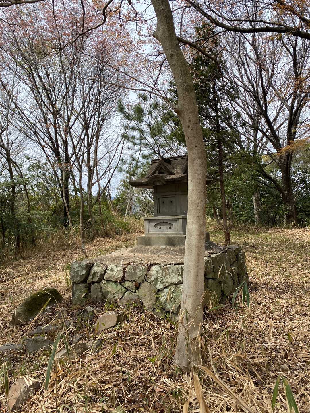 葛ノ山の山頂に到着です。
標高97mですが、結構、キツかったです💦
って、この山は下山ルートが正規ルートですので、登りルートはオススメできません😅