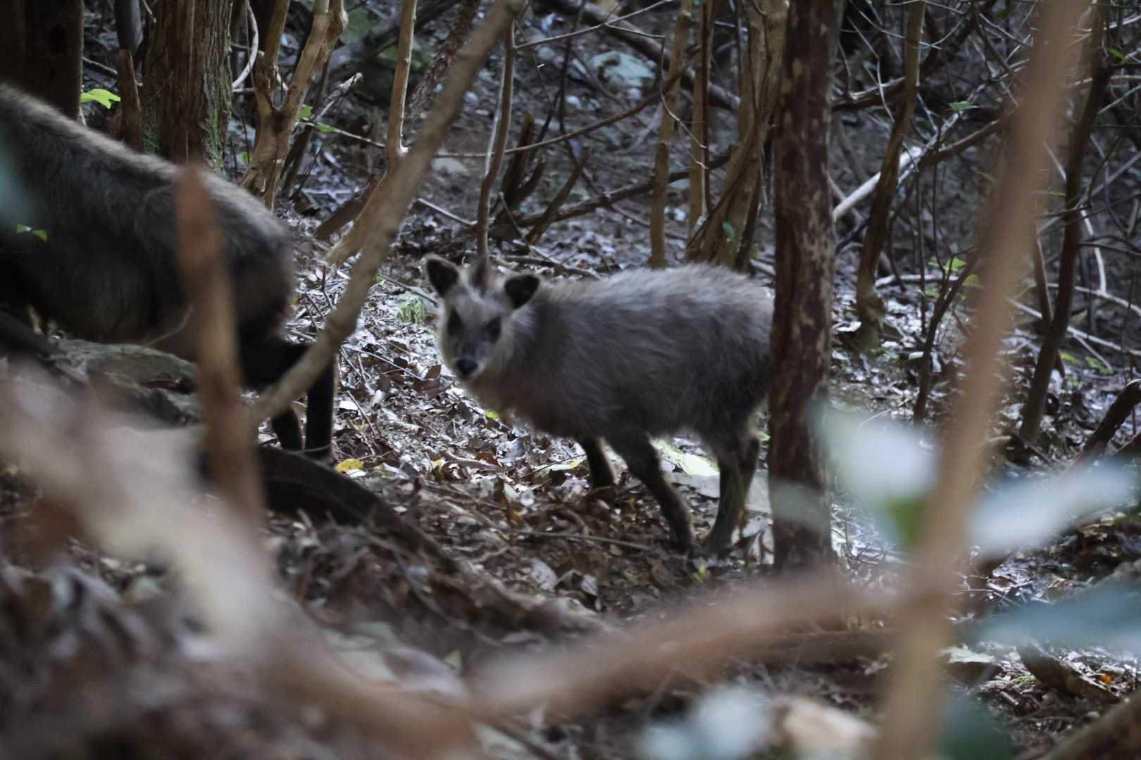 じー👀
