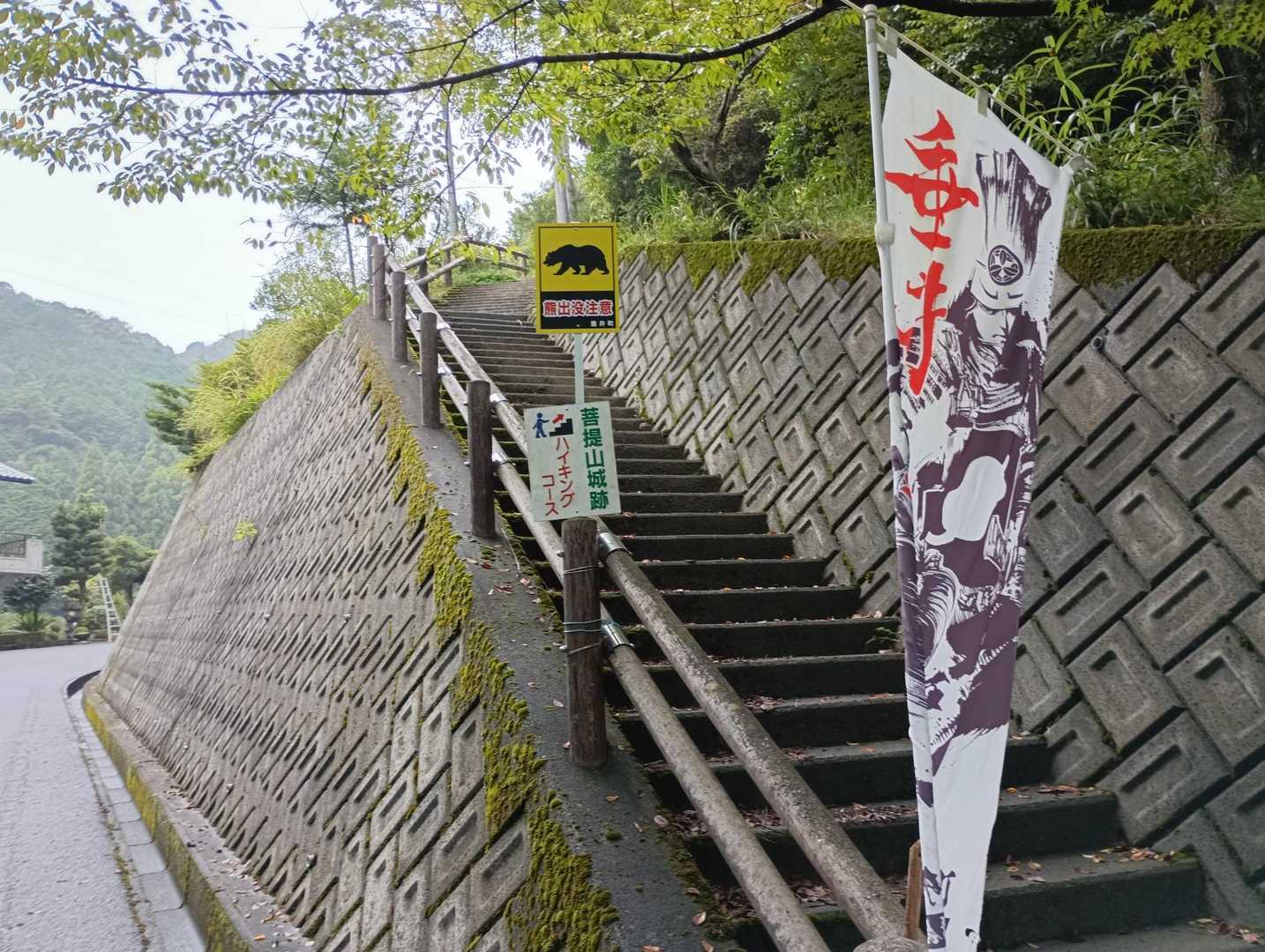 ここから登ります