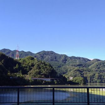 相模湖大橋より📷
反対側は大雨のあとで、ゴミや流木がいっぱい流れ着いていました。
これらは神奈川県が網場でせき止め陸揚げするそうで、流木はチップにしてリサイクルされているようです✨