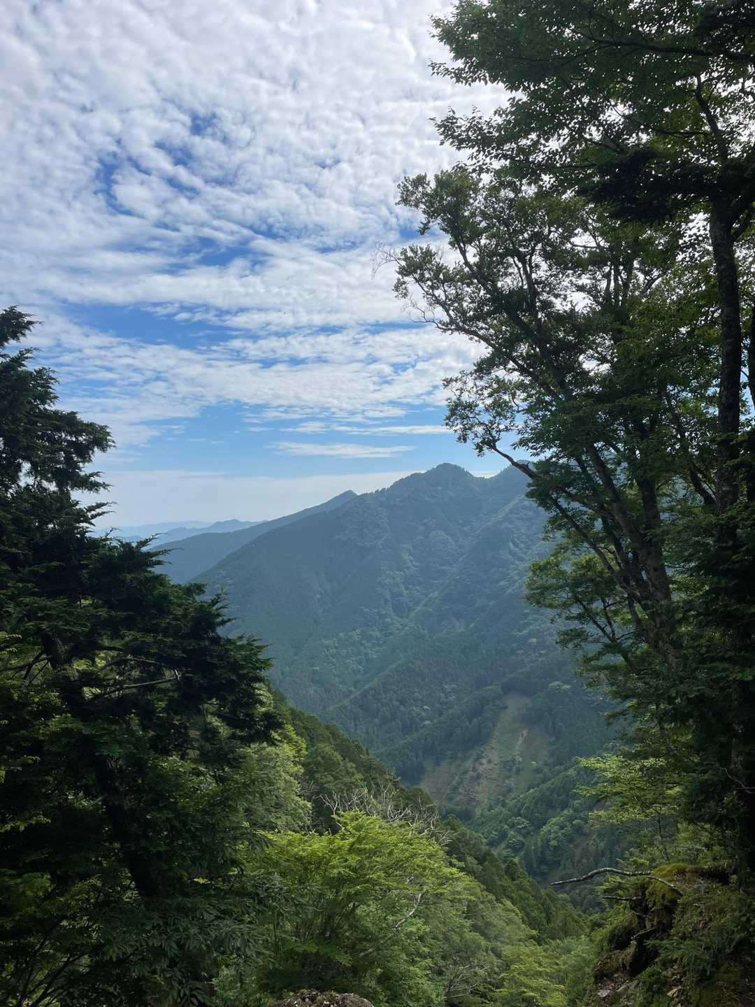 絶景かな