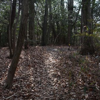 ショウとカットの合流地点