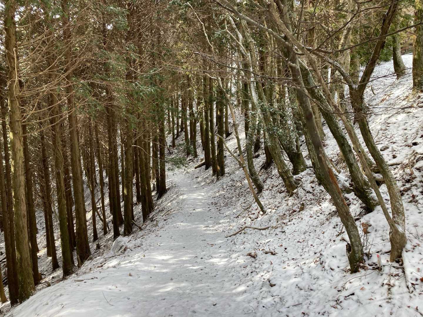 雪が積もっています。