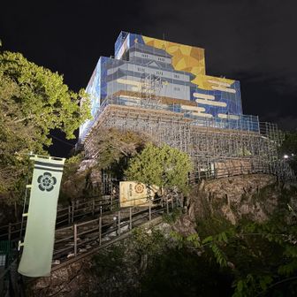 いつもの📸