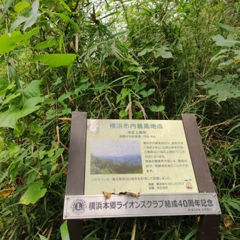今日は横浜市最高峰〜横浜市最高点〜鎌倉市最高峰のハシゴ（と言っても標高差は数㍍😅）懐かしのタネ丸…