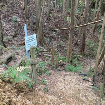 奥から来る予定だったのに道間違えた？