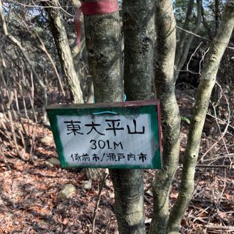 枝にぶつかりまくり💥🪾