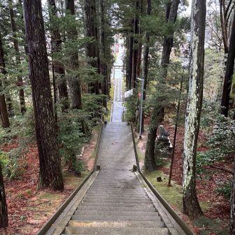 階段を下りていきます♪♪♪