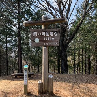 ⑩関八州見晴台、771m
展望良し。本日最高峰ですがここからは既踏。