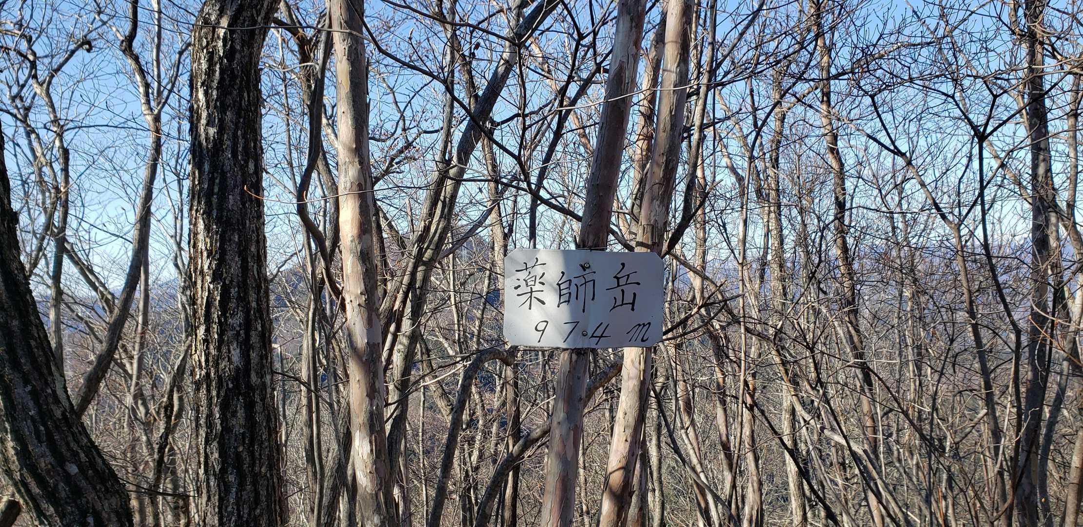 薬師岳