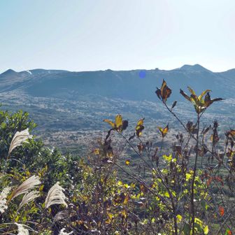 外輪山、山頂口
ここからスタート。
