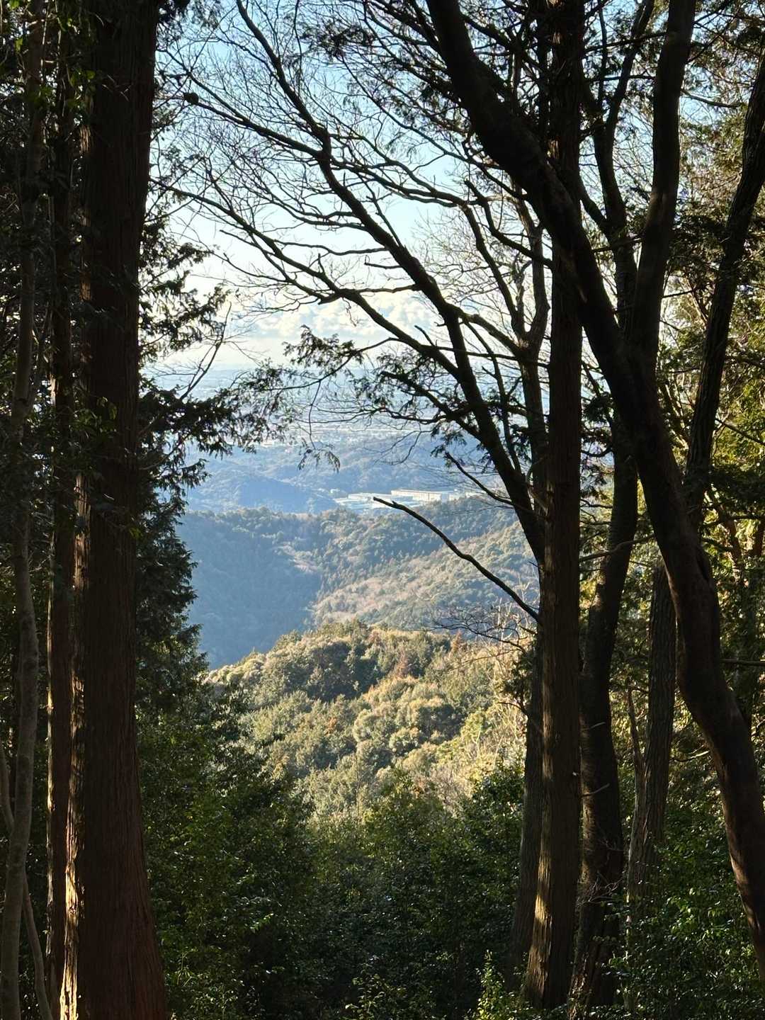 愛宕山-京ヶ峯-七曲峠-ホド田山-音羽富士-古坂峠 周回コースの写真