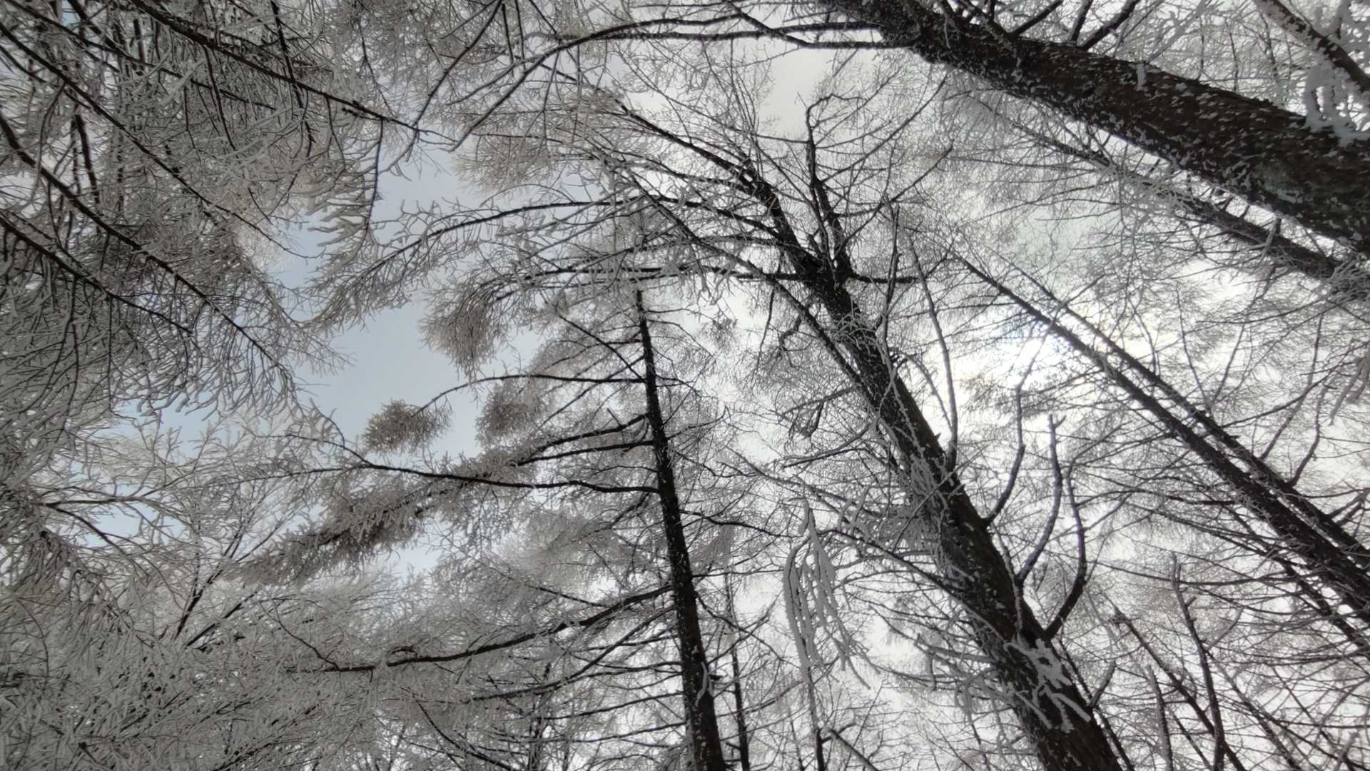 眺望ないので空を。