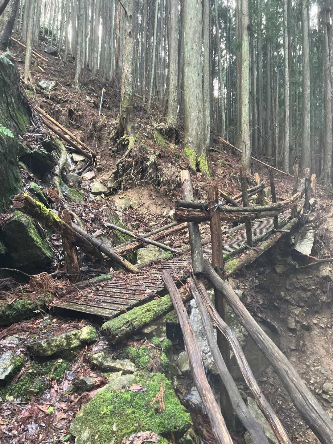 こんな橋を渡ります