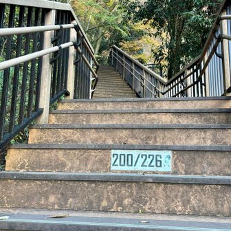 【あと26段！】
はぁ、しんどい😮‍💨
間違いなく本日のハイライトです！

さて、どんな景色が待っているのか🤭