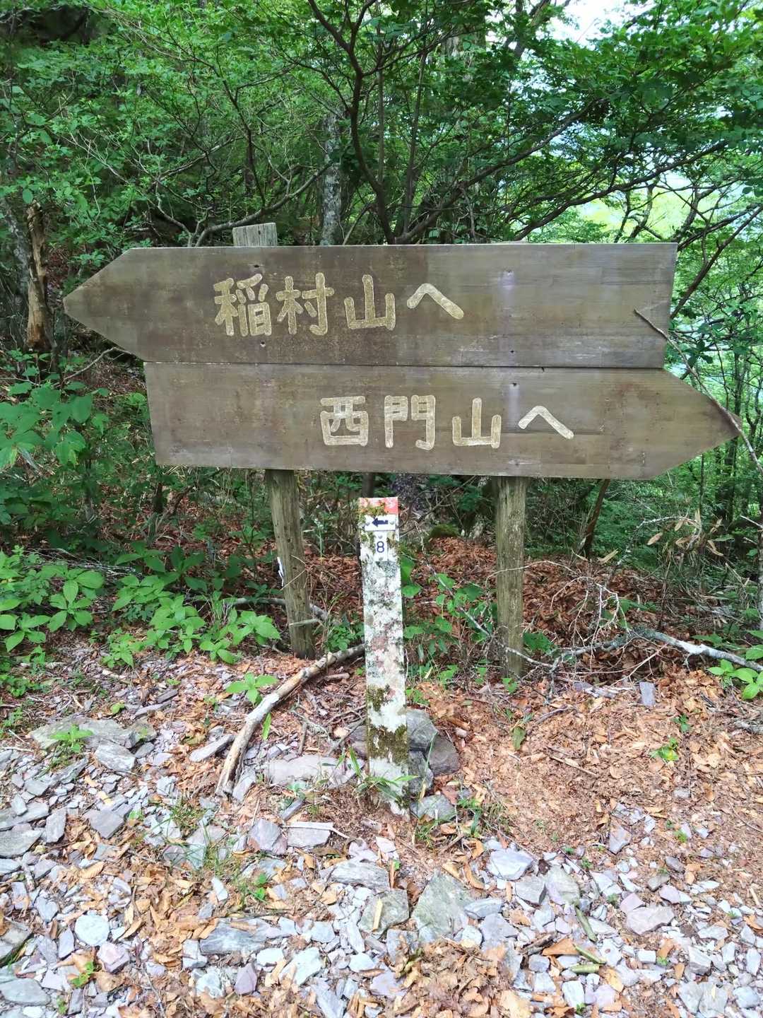 分岐まで来た、ここから登り返します💦
