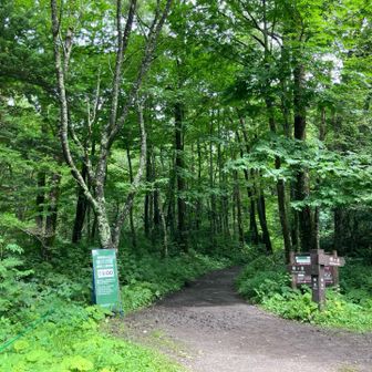 ここから先はいよいよ登山道
観光客の方は軽装の方は要注意ですね