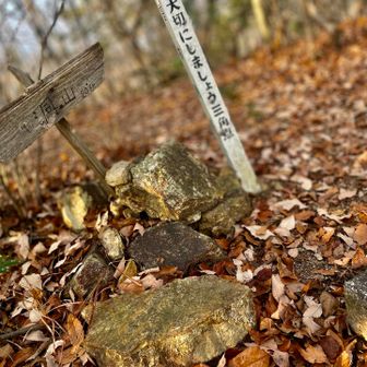急登をなんとか登り切って洞山🪧

このルート、絶対数字以上にシンドいよきっと🥵

岩戸公園でリタイヤしようか真剣に悩んでました💦