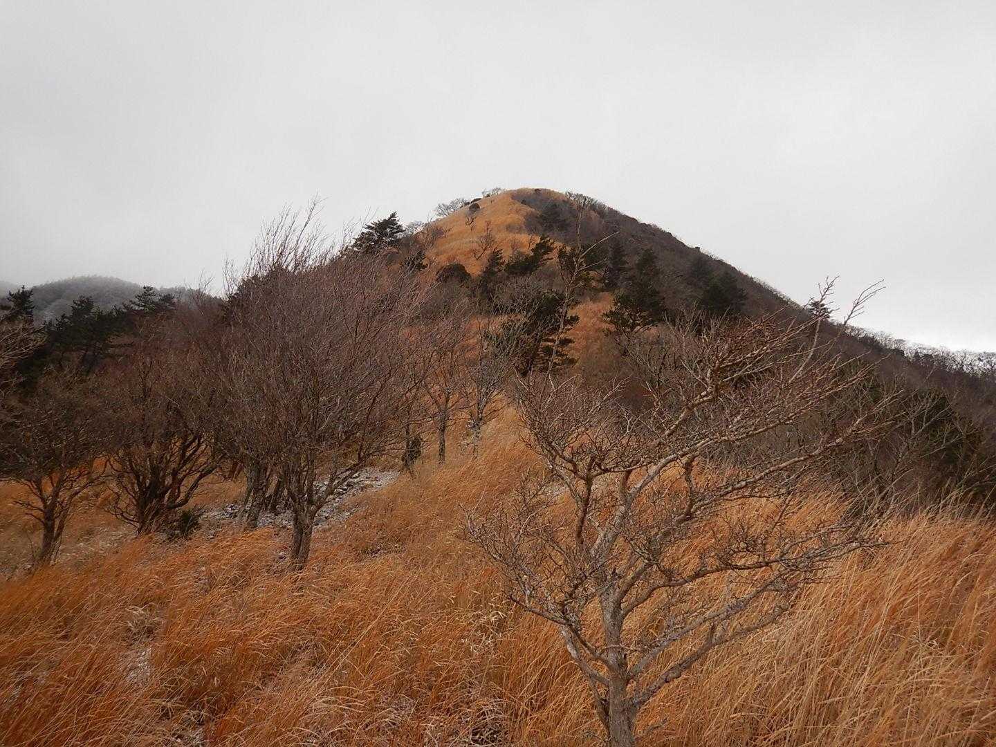 いい感じの山容です😃