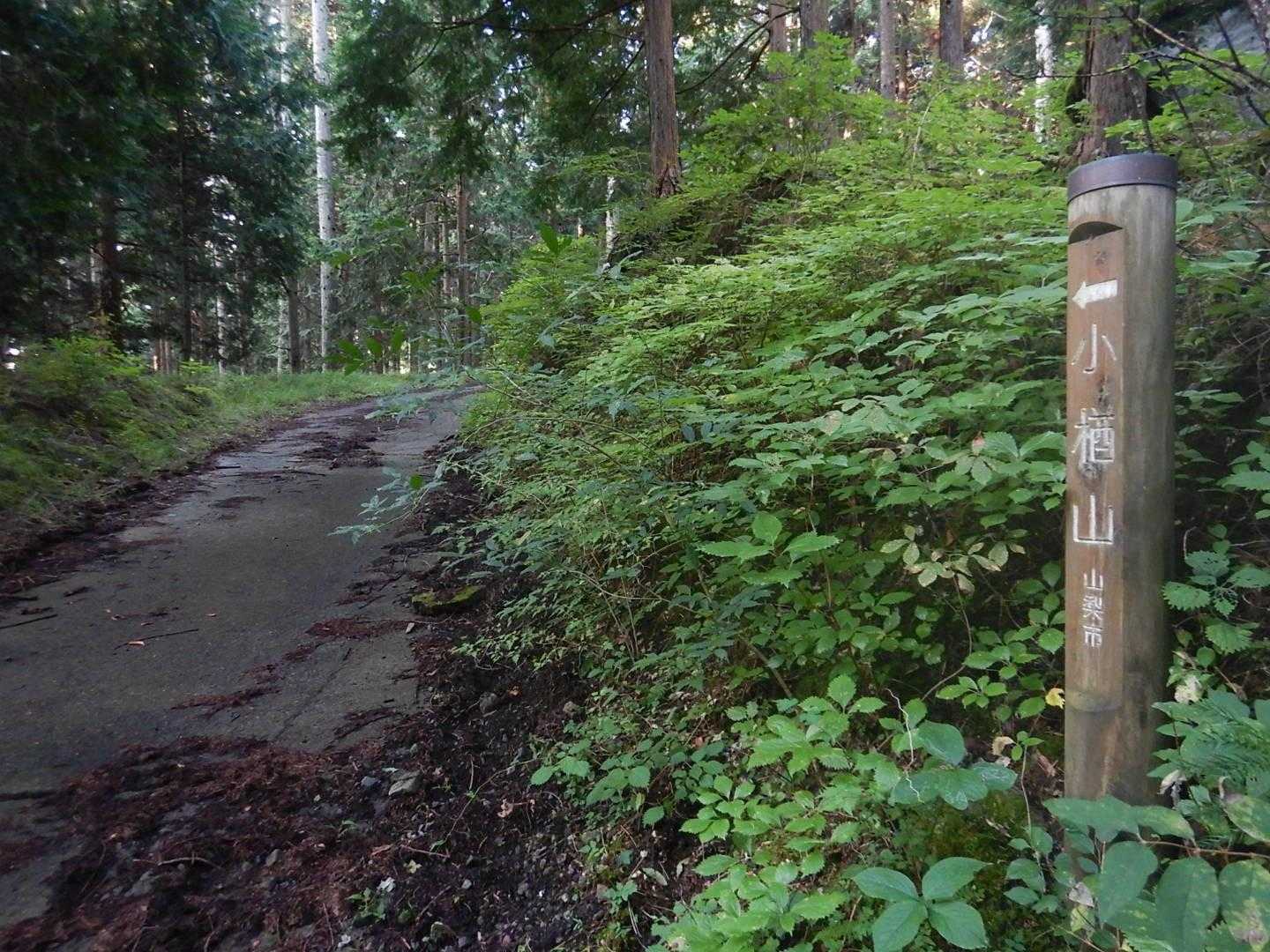 小楢山（フフ山梨登山口）＜母恋し道＞の写真